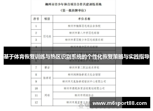 基于体育恢复训练与热区识别系统的个性化恢复策略与实践指导