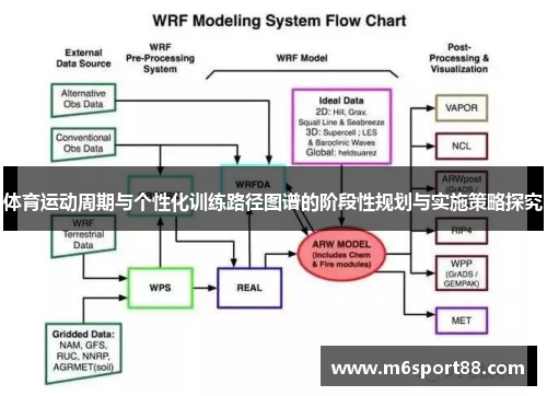 体育运动周期与个性化训练路径图谱的阶段性规划与实施策略探究